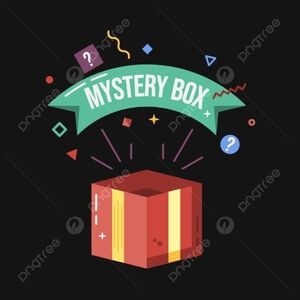 Costume Jewelry Mystery Box